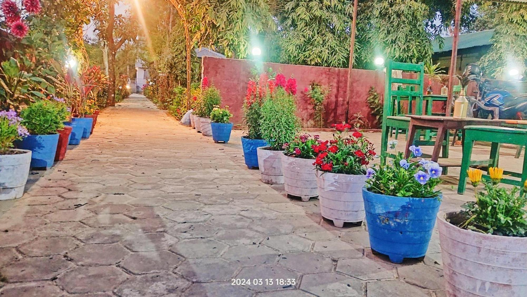 Hotel Butterfly - Peaceful Garden For Nature Lovers โซราฮา ภายนอก รูปภาพ