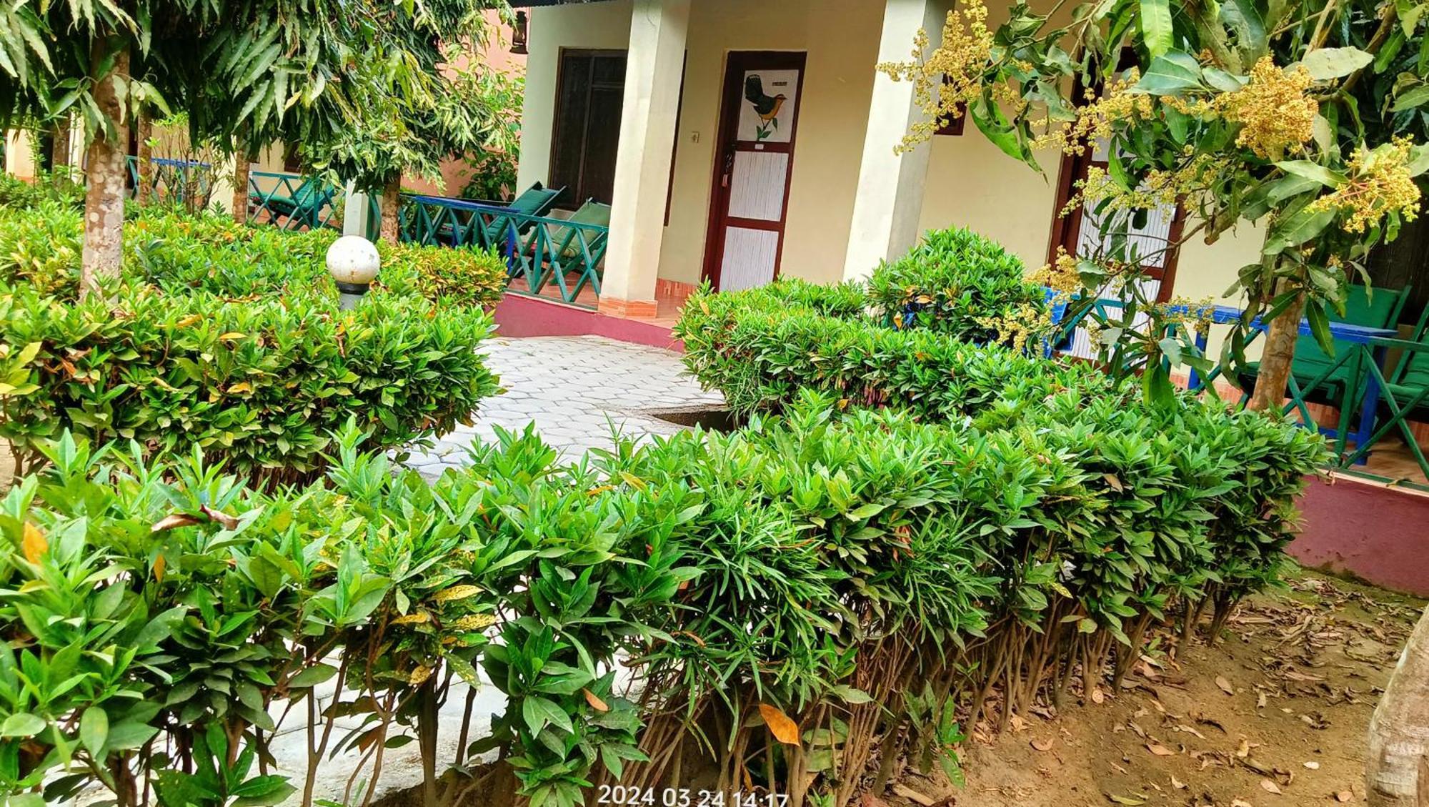 Hotel Butterfly - Peaceful Garden For Nature Lovers โซราฮา ภายนอก รูปภาพ