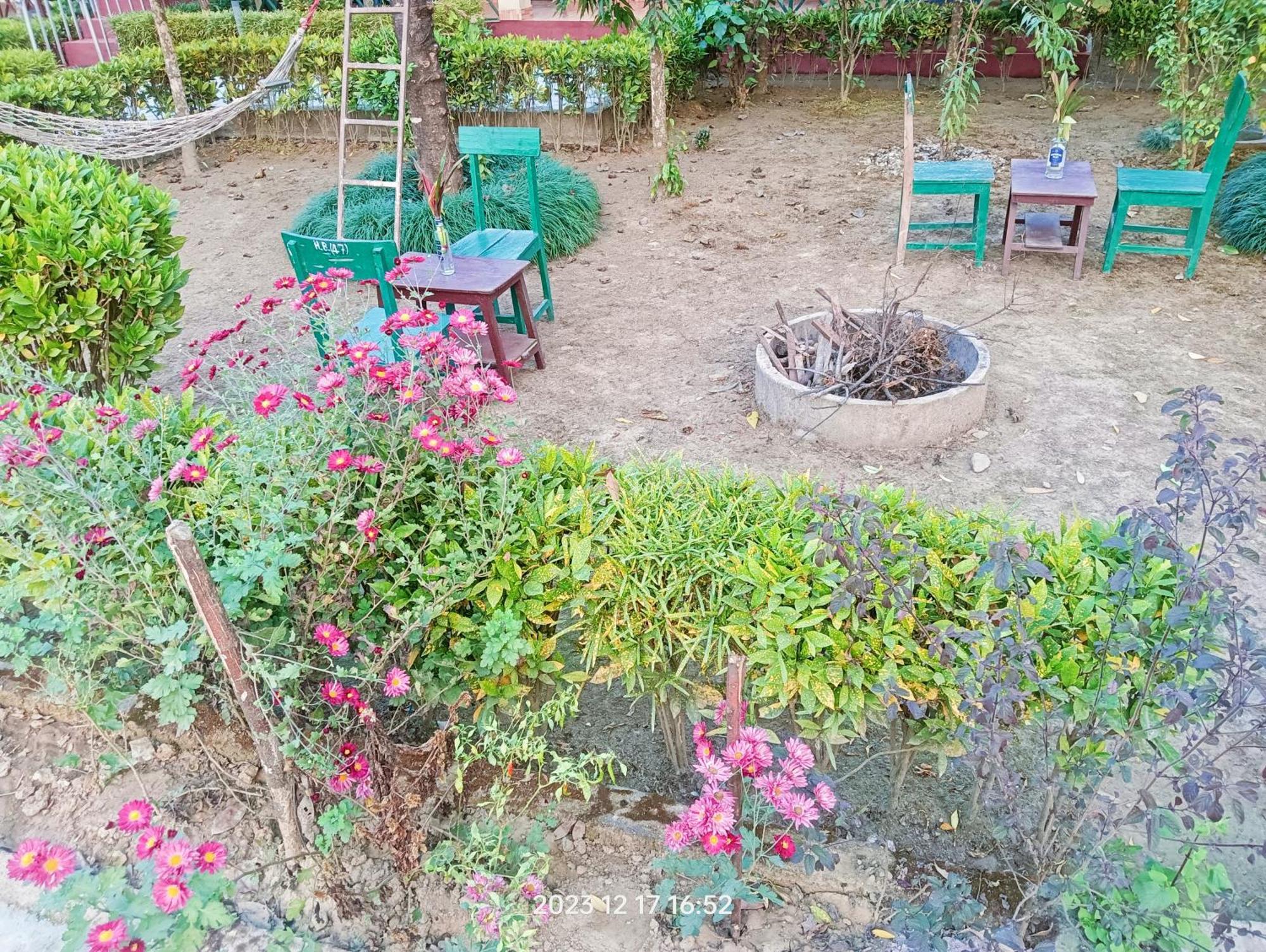 Hotel Butterfly - Peaceful Garden For Nature Lovers โซราฮา ภายนอก รูปภาพ