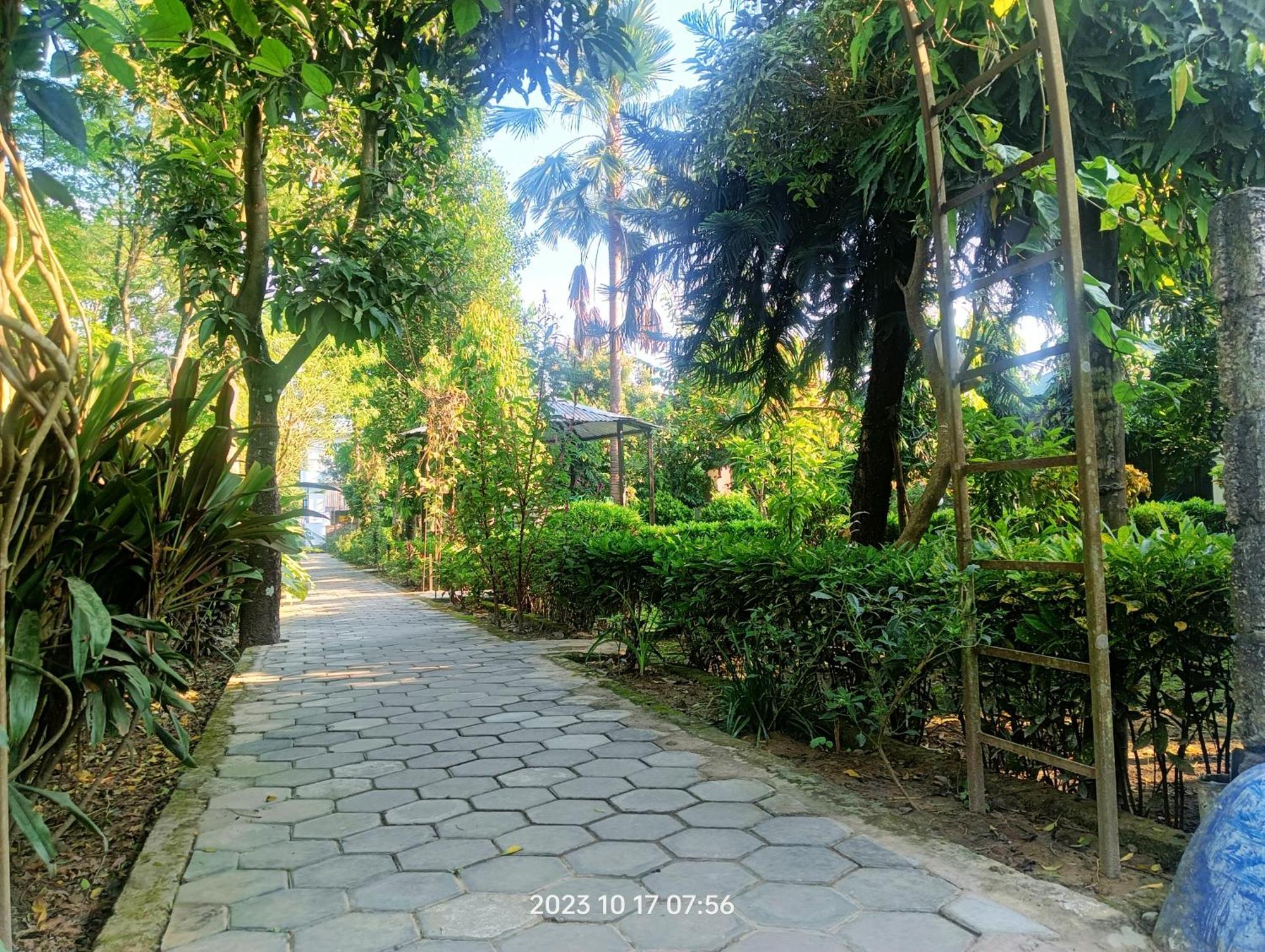 Hotel Butterfly - Peaceful Garden For Nature Lovers โซราฮา ภายนอก รูปภาพ