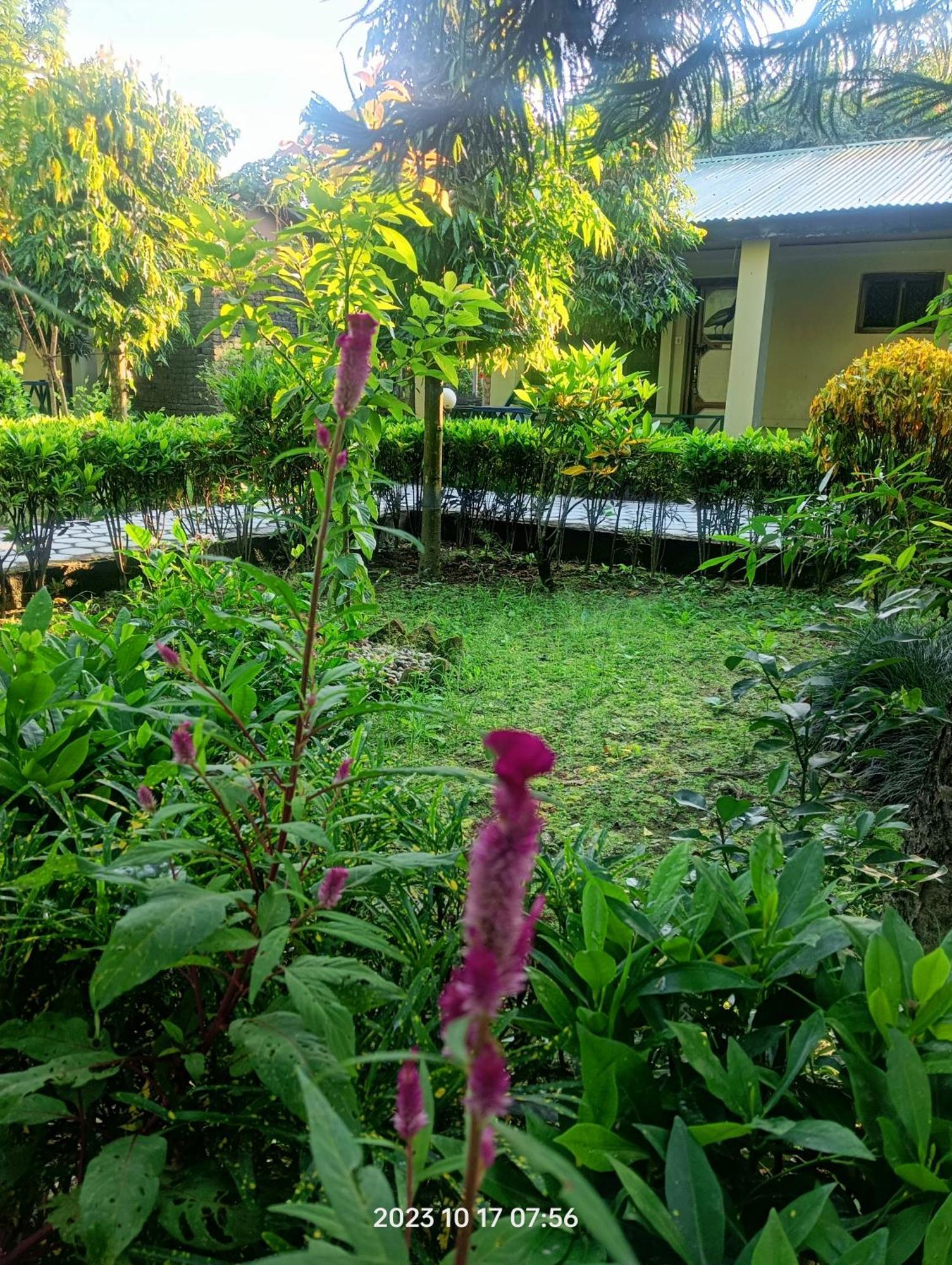 Hotel Butterfly - Peaceful Garden For Nature Lovers โซราฮา ภายนอก รูปภาพ