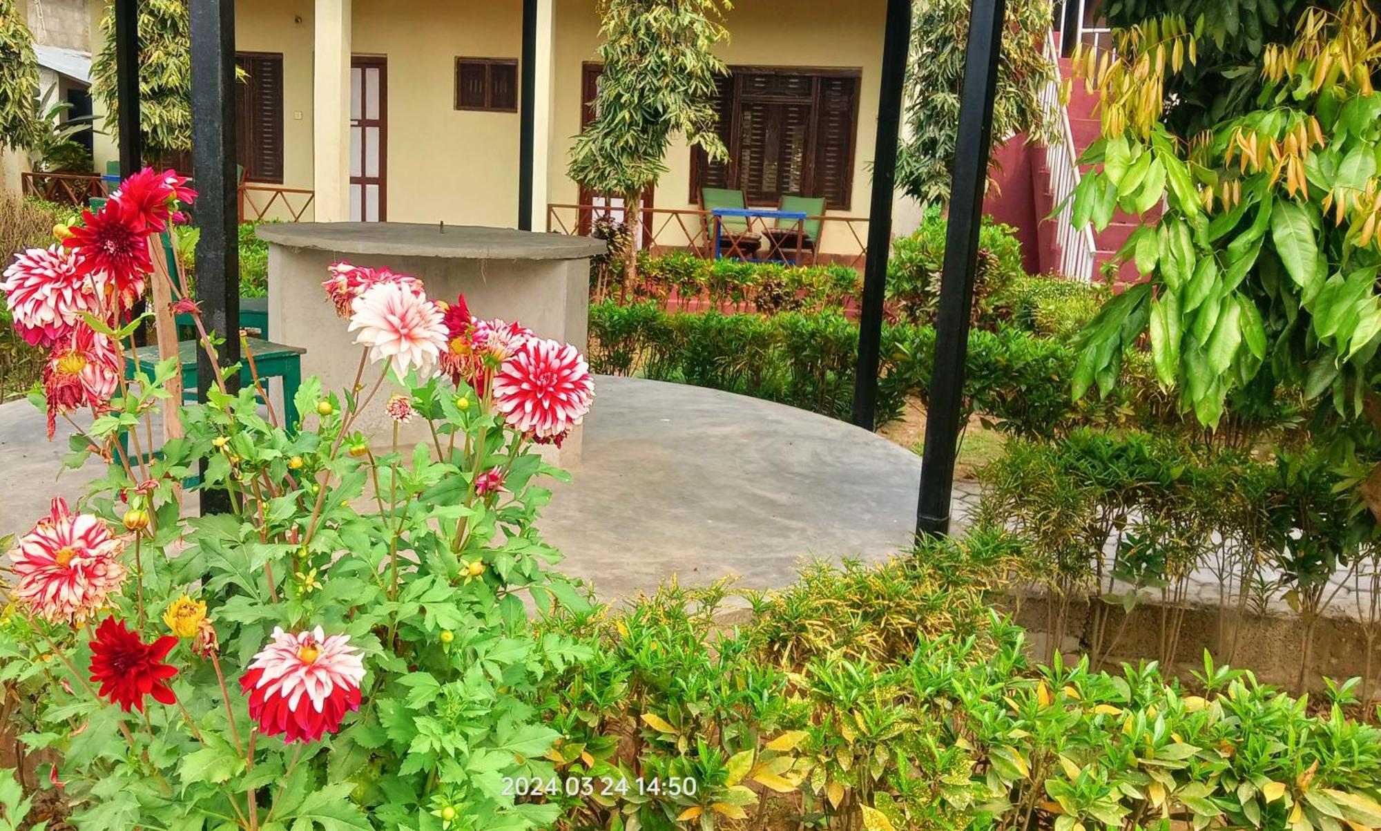 Hotel Butterfly - Peaceful Garden For Nature Lovers โซราฮา ภายนอก รูปภาพ