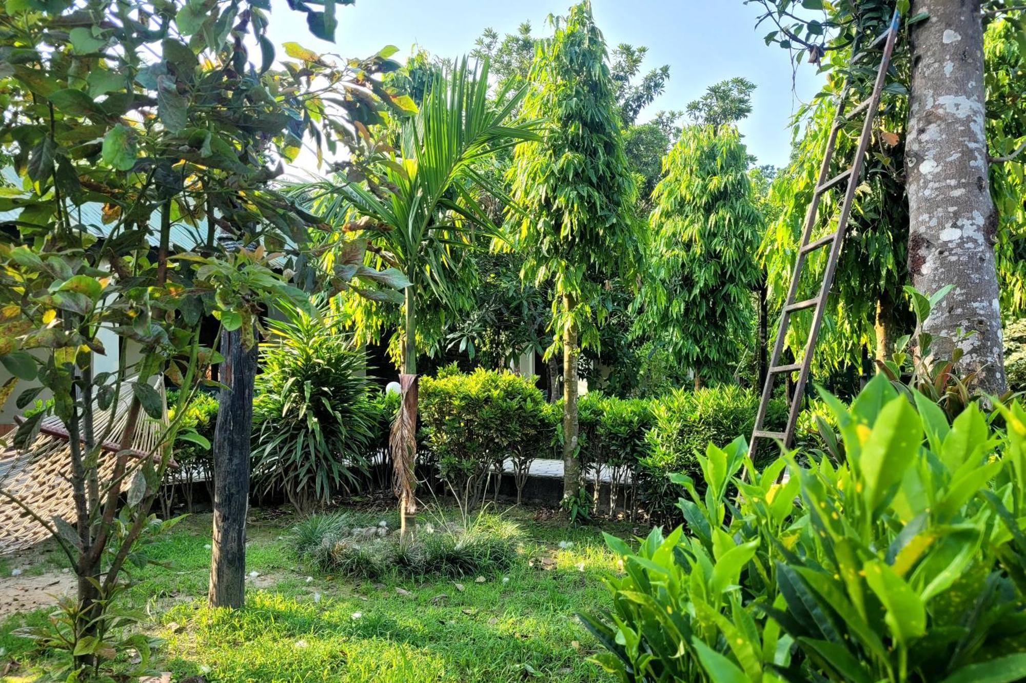 Hotel Butterfly - Peaceful Garden For Nature Lovers โซราฮา ภายนอก รูปภาพ