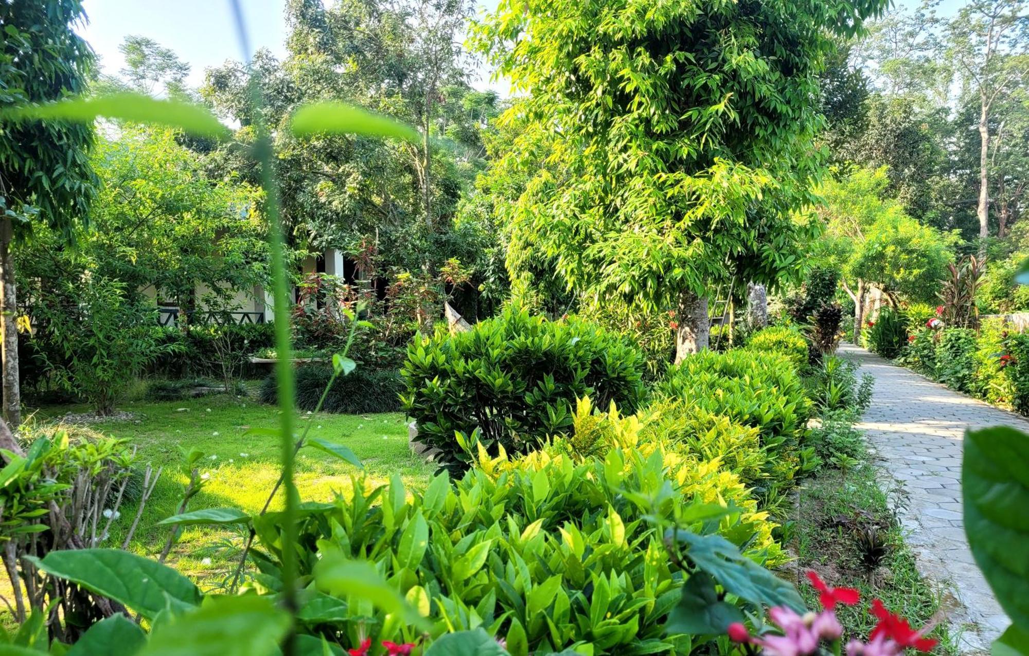 Hotel Butterfly - Peaceful Garden For Nature Lovers โซราฮา ภายนอก รูปภาพ